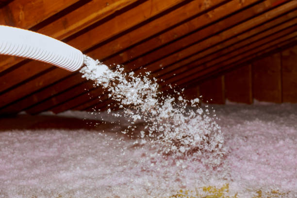 Best Commercial Insulation in Alexandria, MN