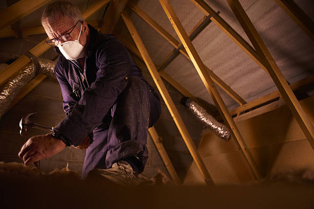 Best Insulation for Specific Applications in Alexandria, MN